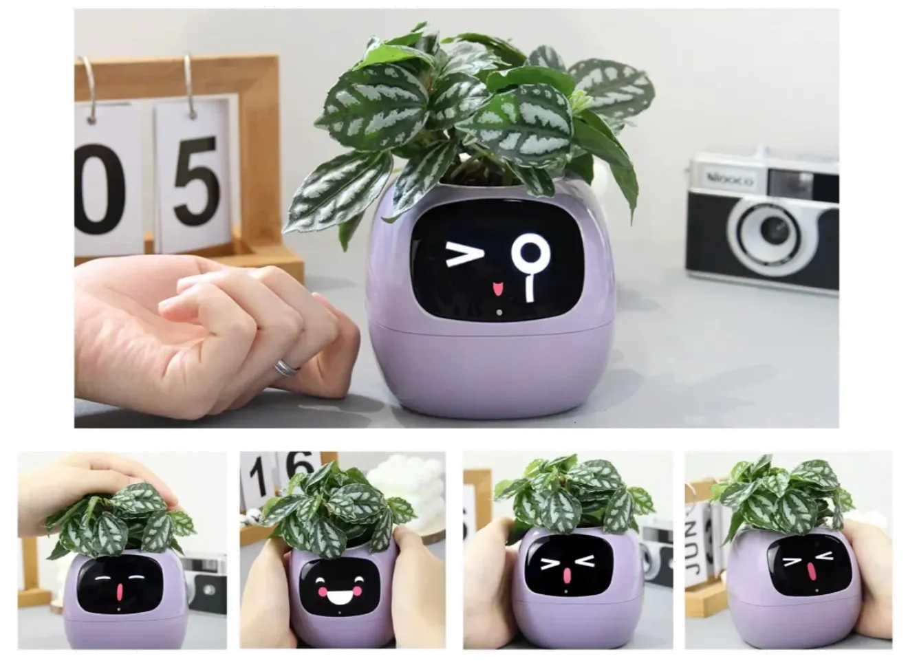 Ivy Interactive Gestures