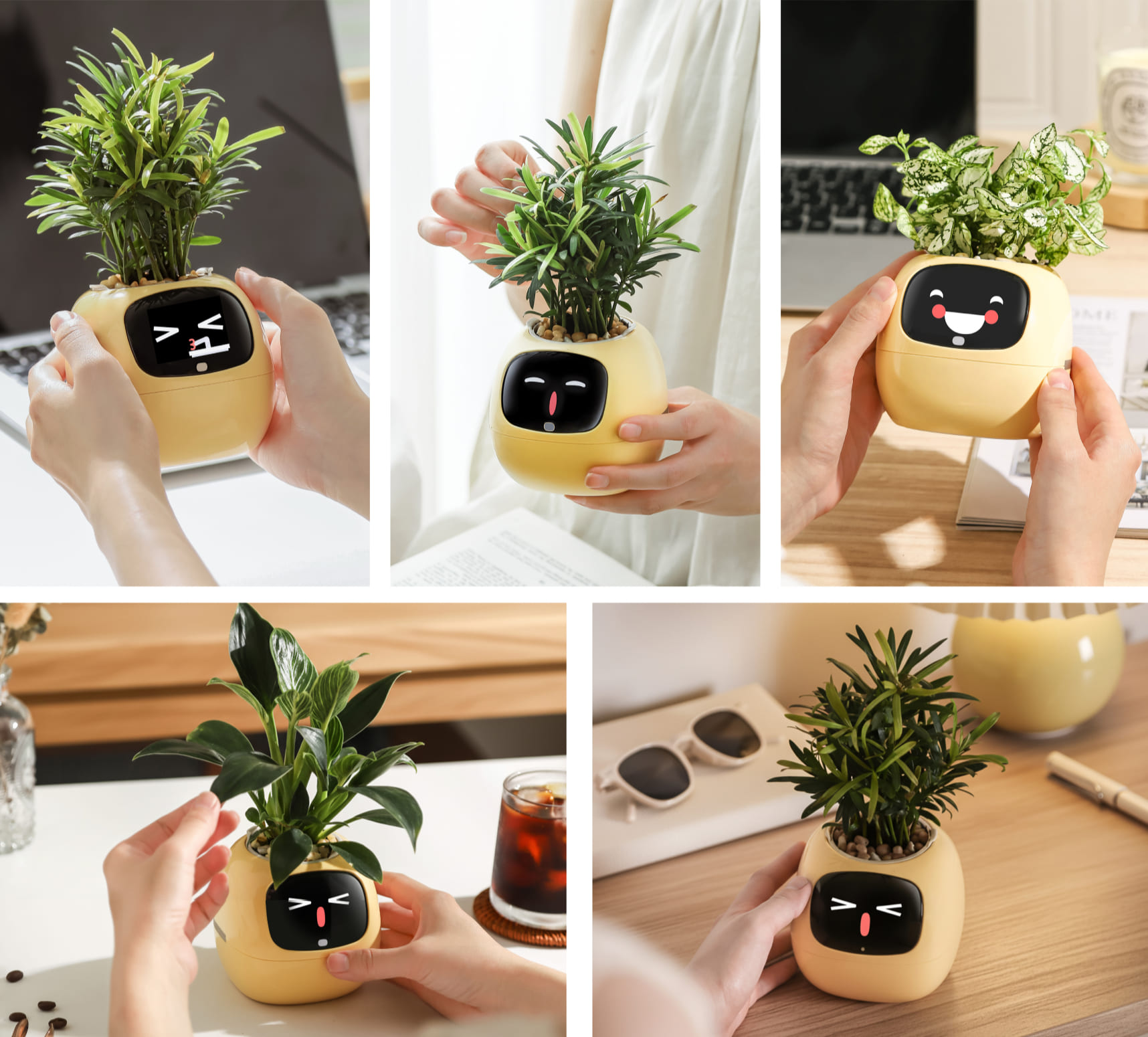 Ivy Interactive Gestures