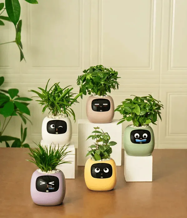 Ivy - Smart Plant Pot - AI Self-Watering Planter & Digital Pet