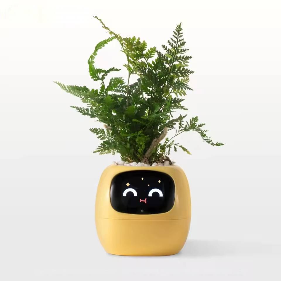 Yellow Ivy Pot